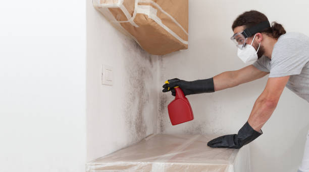 Professional Basement Mold Removal technician working in Boiling Springs, PA
