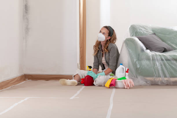 Reliable Basement Mold Removal contractor in Boiling Springs, PA by WQB Mold Removal